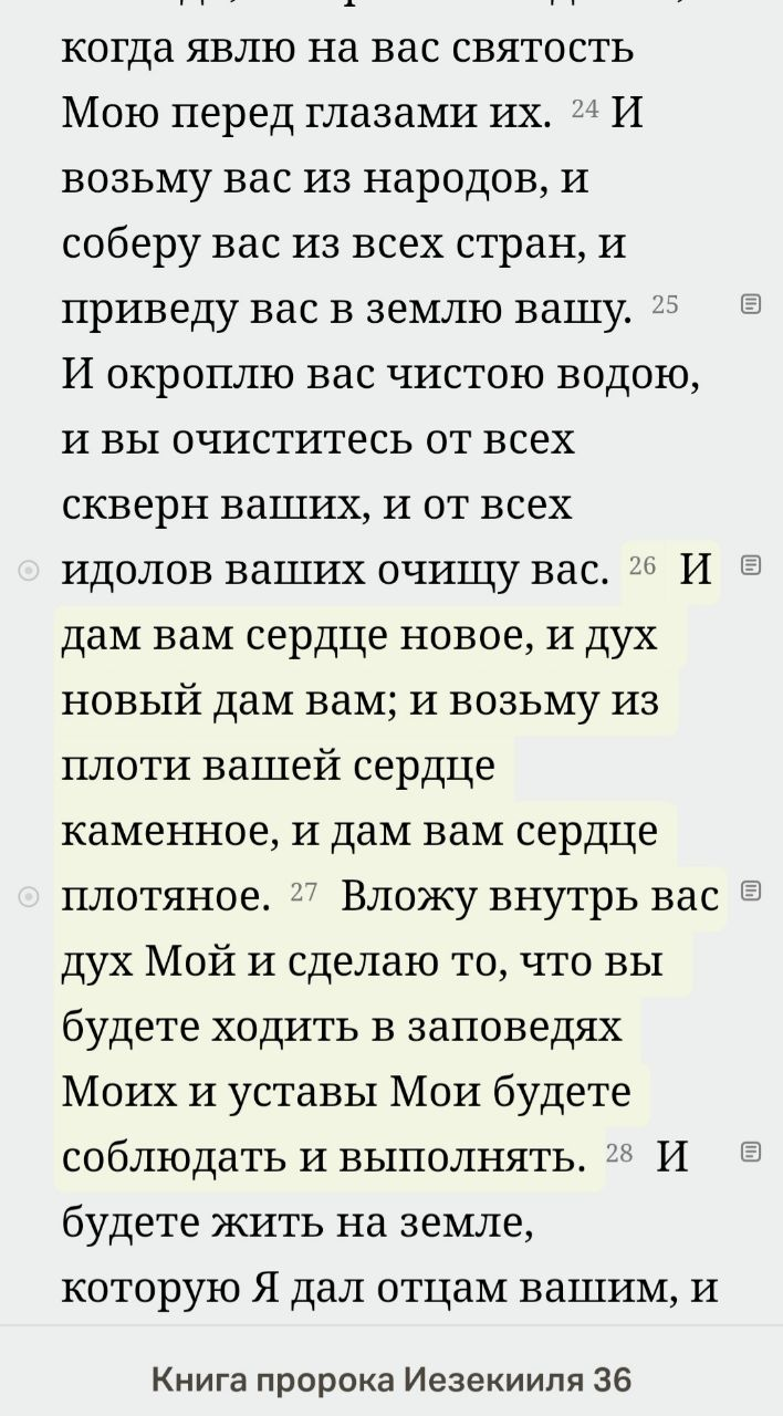 Новое сердце